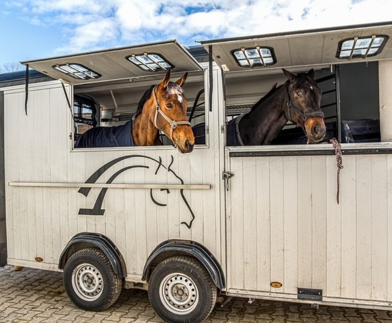 Horse trailer Cheval