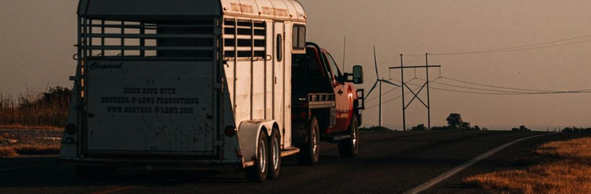 Horse Float Financing Van Horse Float Financing Van