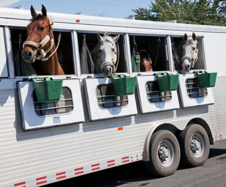 Horse Trailer