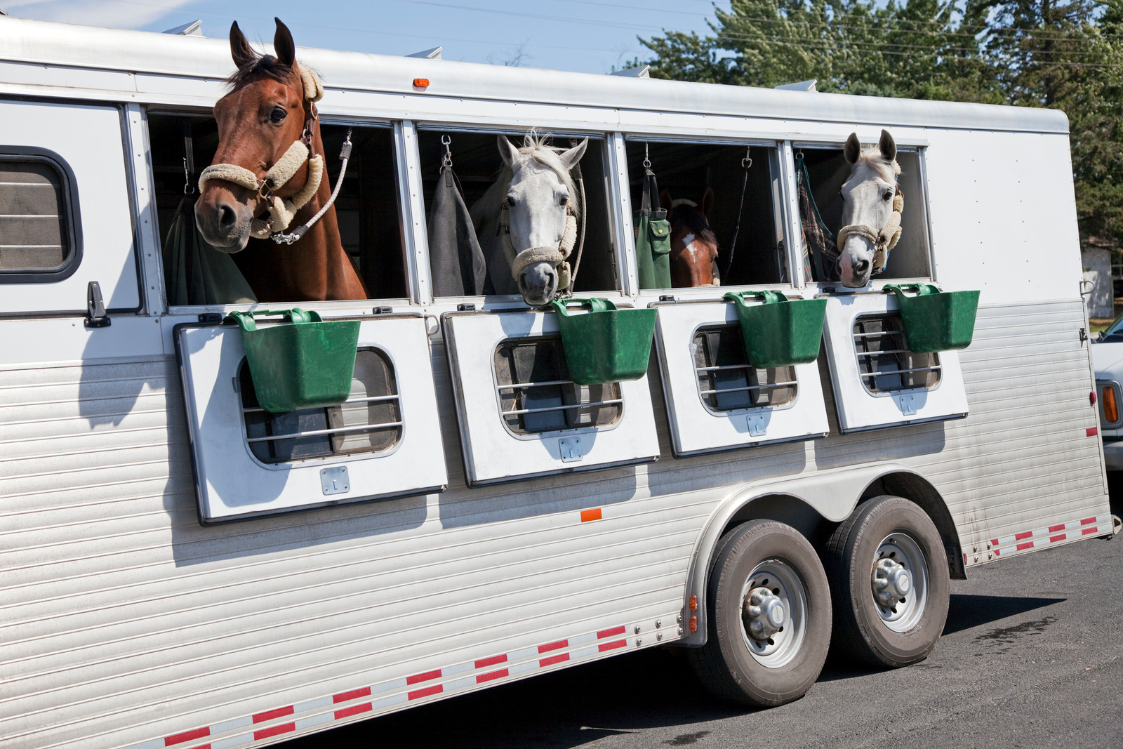 Horse Trailer