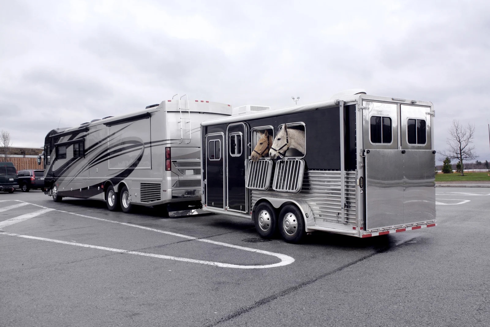 4 Horse Trailer